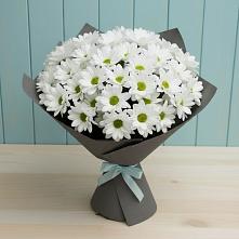 Букет цветов из:  Хризантемы #REPLACE_PRED# Чехов-7